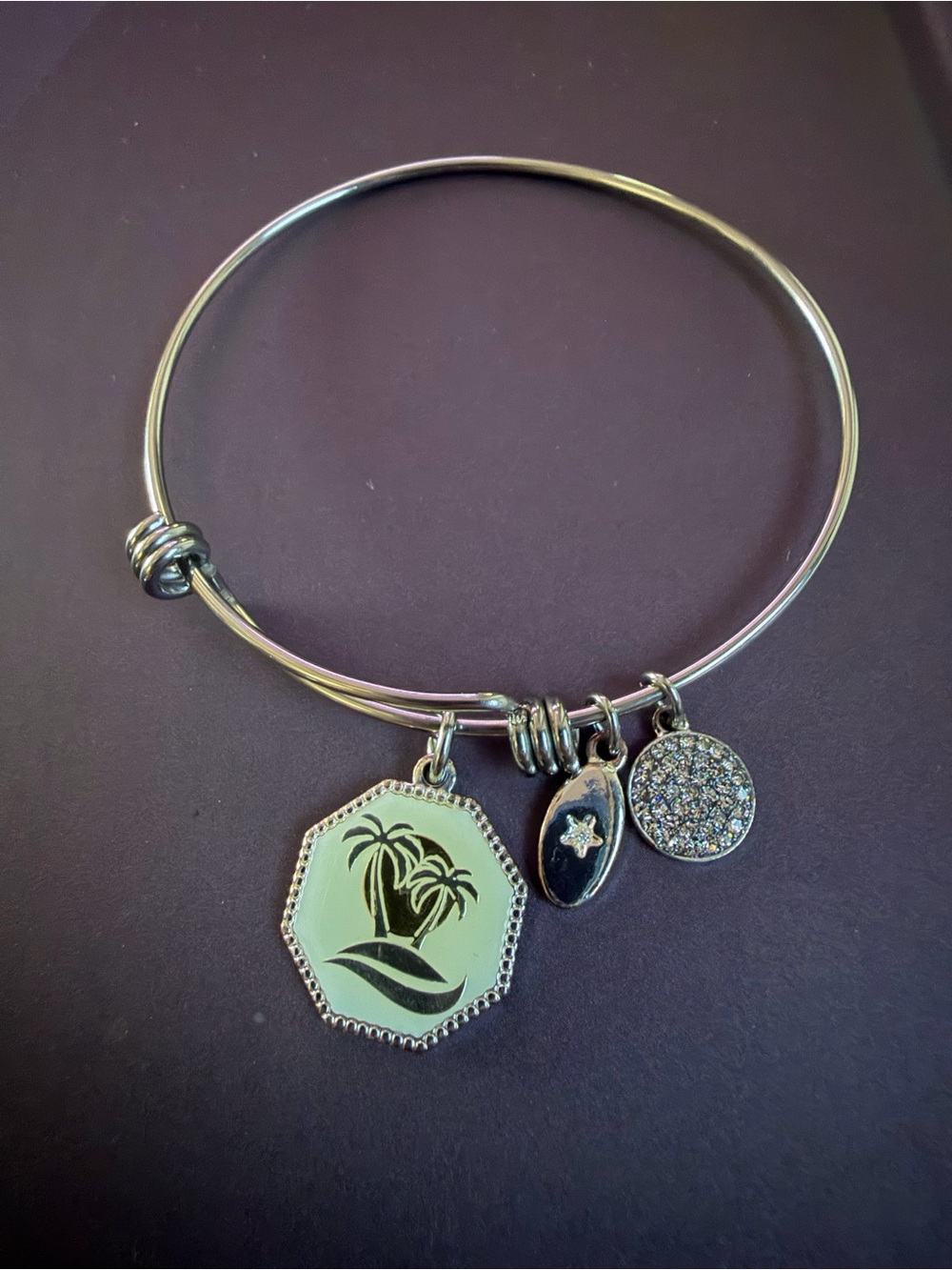 Unwritten Silver Tone Palm Tree Charm Bangle Bracelet - Green